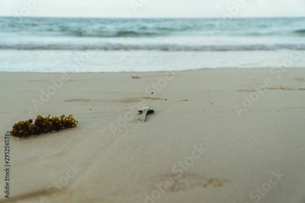 Fototapeta  Single use plastic garbage litter on beach. Rubbish and waste found on beautiful sand beach while on holiday in Galapagos Islands. Environmental, pollution, waste, climate change, problem concepts.