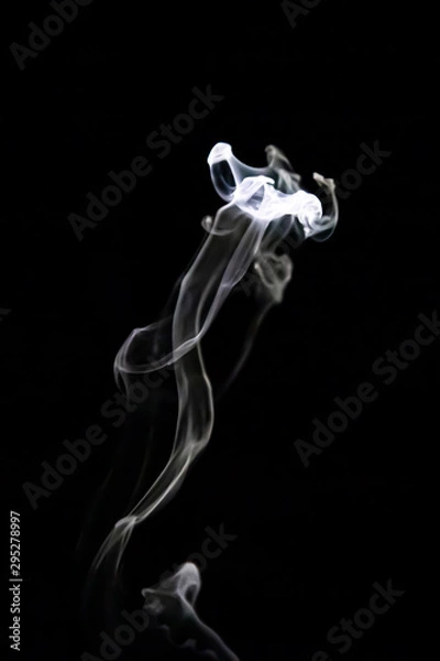 Obraz Negative smoke flower