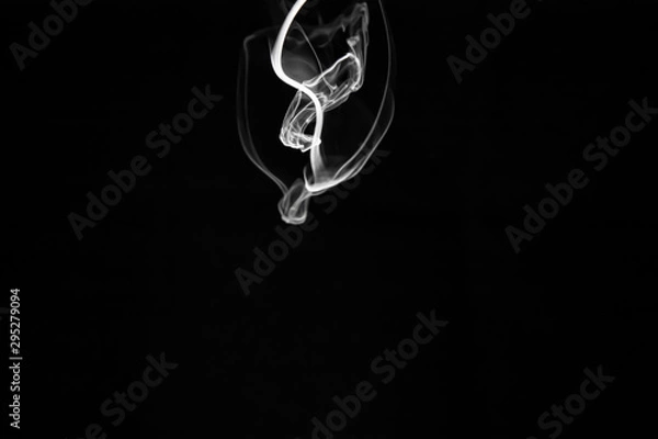 Obraz Falling smoke roots