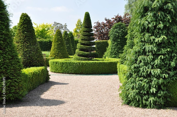 Fototapeta Topiary hedges and spiral tree in formal English garden