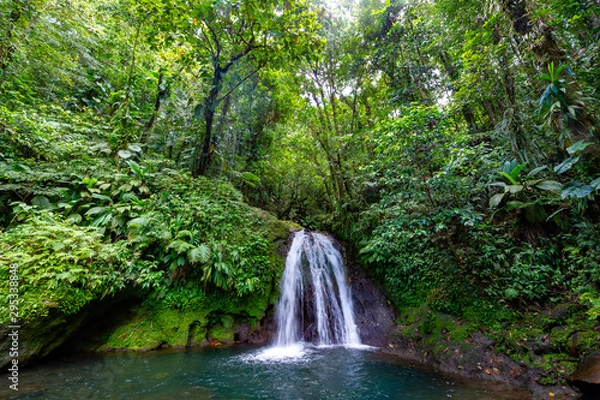 Fototapeta Aprende a pronunciarPetit Borg, Basse Terre / Guadeloupe. 04.09.2014.Cascade Aux. Ecrevisses in Guadalupe