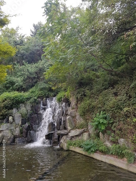 Obraz waterfall in forest