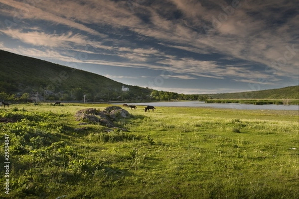 Fototapeta river landscape