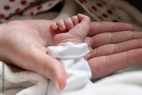 Fototapeta Hand in hand with mother son son in an act of tenderness. The newborn gets in touch with his mother through body contact.