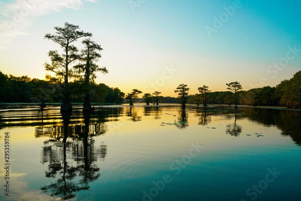 Obraz View at dusk at Caddo Lake near Uncertain, Texas