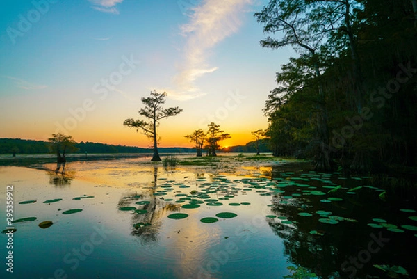 Obraz Sunset view with bald cypress trees and lily pads at Caddo Lake near Uncertain, Texas