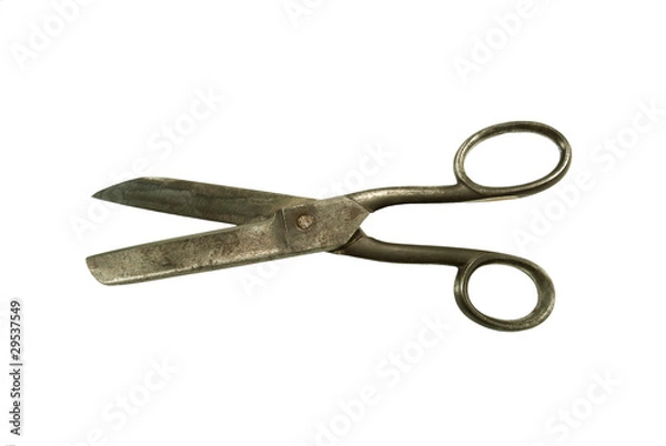 Obraz Old scissors