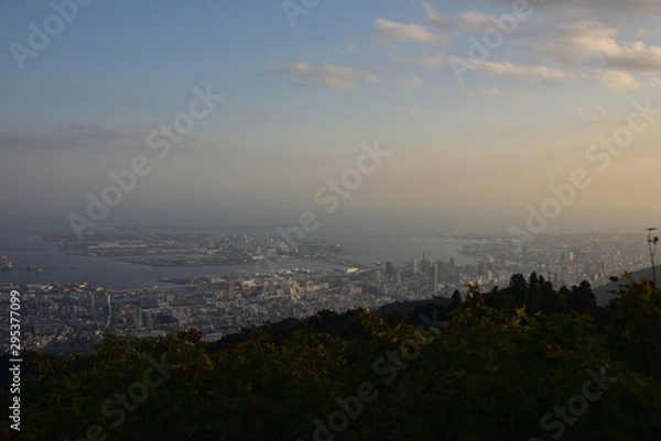 Fototapeta 日本の兵庫県神戸市の六甲の夜景