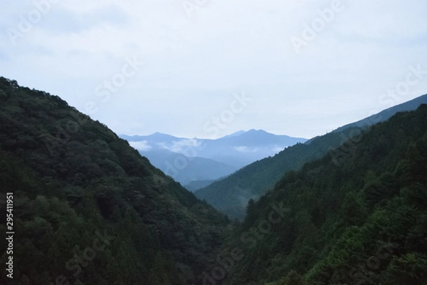 Fototapeta 朝の山