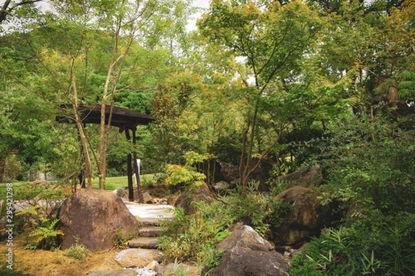 Fototapeta 公園の風景