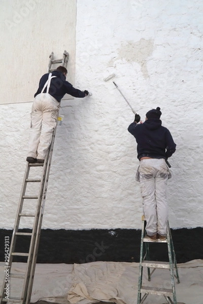 Fototapeta Workers painting facade while standing on the ladder