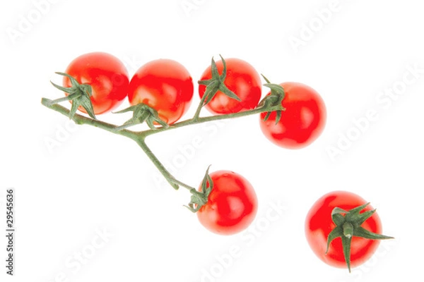 Obraz cherry tomatoes on white