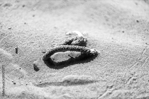 Obraz Plastikmüll am Strand