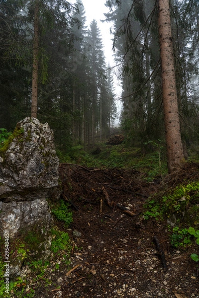 Fototapeta Picturesque peaks of Dolomites mountains in reflection of crystal clear pond surrounded by coniferous forest. Lake of Caresse in Italy. Scenic place and famous touristic destination. Primeval nature