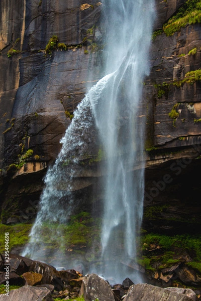 Obraz waterfall in forest
