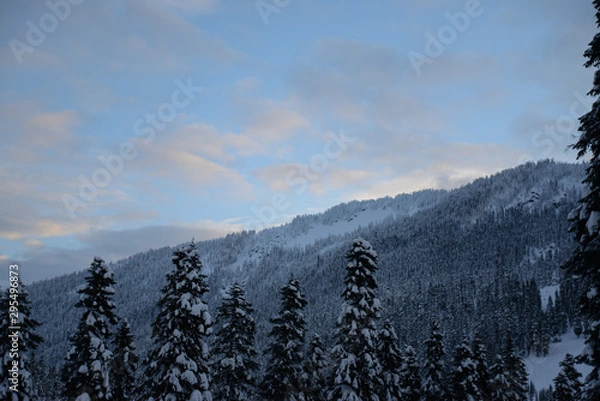 Obraz Winter landscape