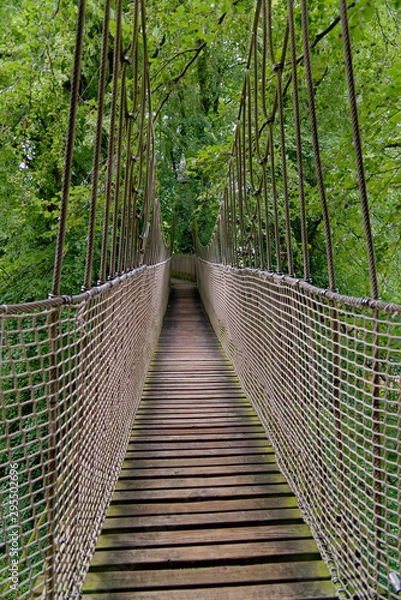 Fototapeta Rope bridge - Alnwick Gardens UK