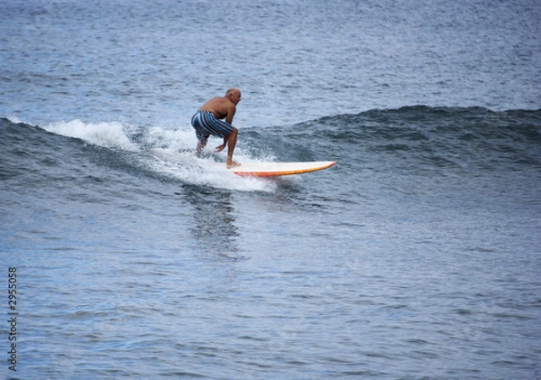 Obraz king of the surf