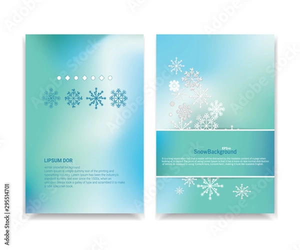 Fototapeta Winter background with snowflakes. Snowfall frozen greeting card