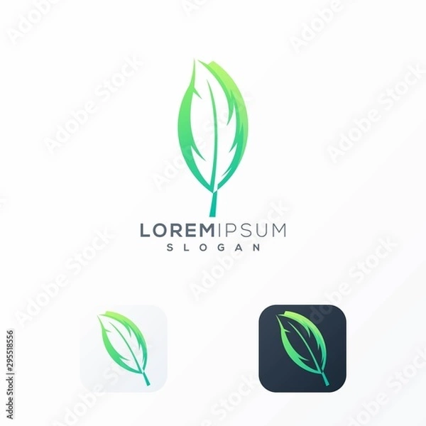 Fototapeta feather leaf logo design ready to use