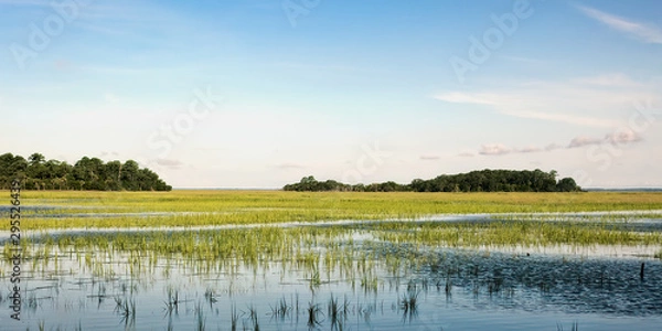 Obraz Tide's Coming In