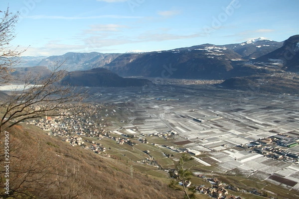 Obraz Weinanbaugebiet im Winter