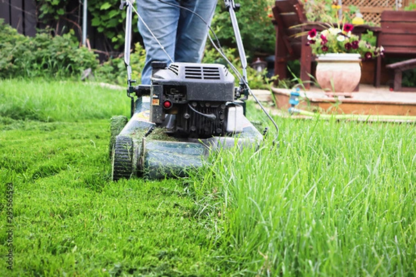 Fototapeta Clsoeup of a lawnmower cutting tall grass
