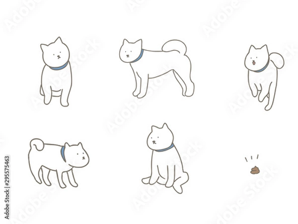 Fototapeta 北海道犬セット