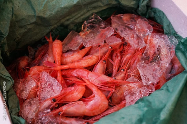Fototapeta 新潟県では南蛮海老と呼ばれる真っ赤な甘エビ