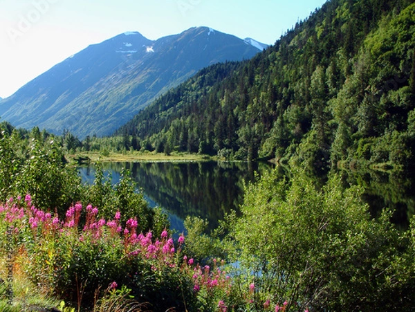 Obraz malownicza Alaska