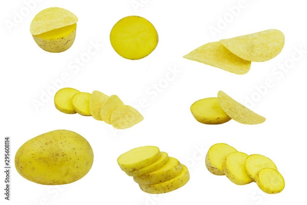 Fototapeta Collection of potato isolated on white background with clipping path