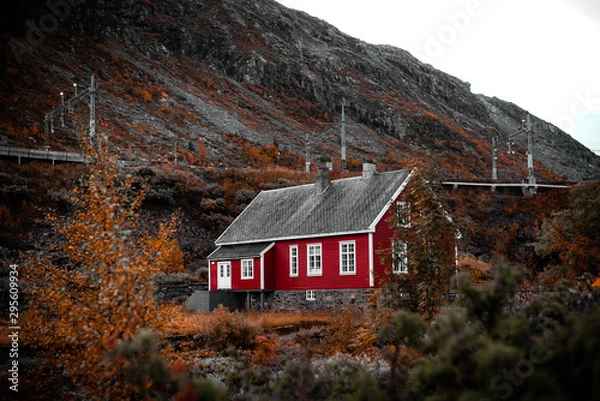 Obraz Norway landscape