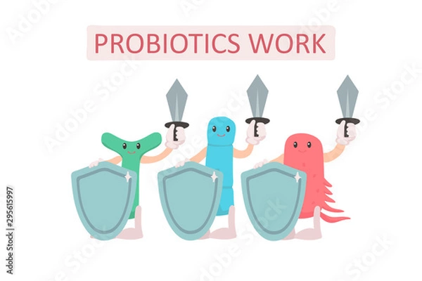 Fototapeta Group of probiotics with shields and swords. Digestion protection concept. Cute characters on a white background. Microscopic bacteria. Vector illustration in freehand drawn style