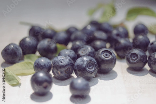 Obraz fresh blueberries on white background