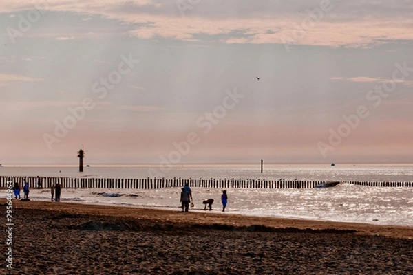 Fototapeta pier at sunset