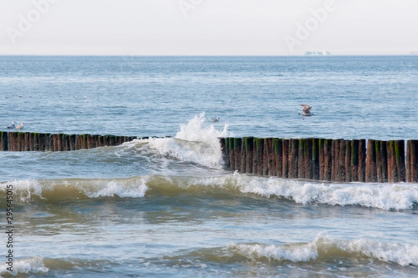 Fototapeta waves crashing on rocks