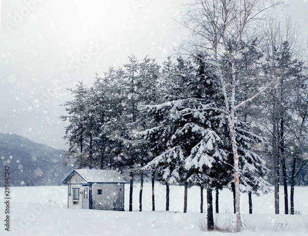 Obraz Paysage enneigé