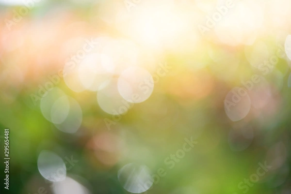 Fototapeta Defocused of beautiful sunrise in the park..Blurred shrub refreshment with sunlight and orange color bokeh used for background.