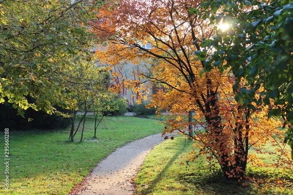 Obraz Herbstkontraste