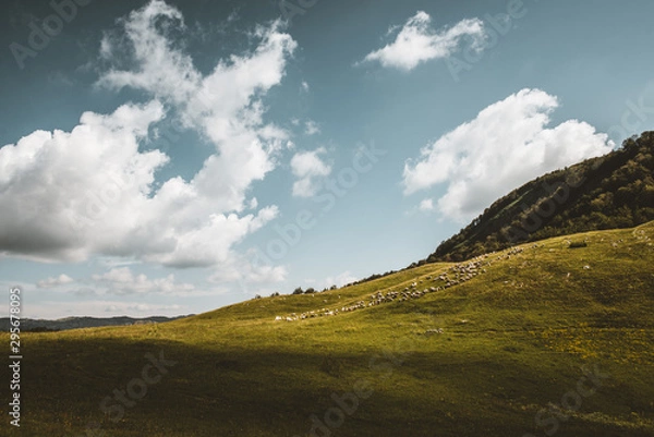 Fototapeta landscape with mountains and clouds