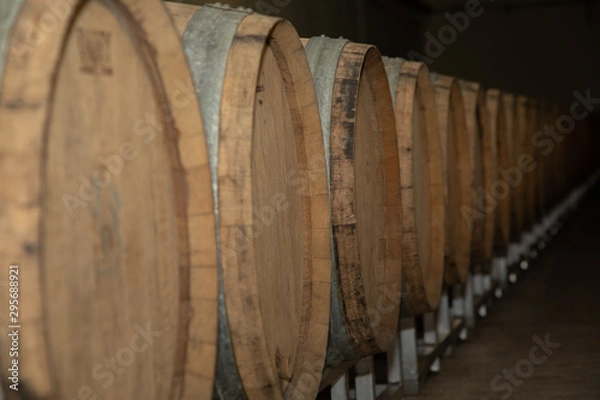 Obraz New wine harvest