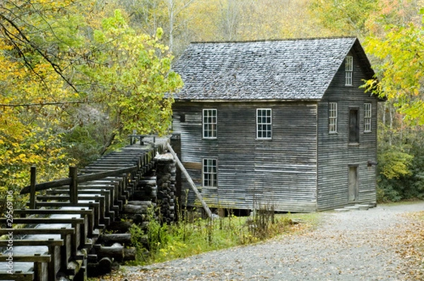 Obraz Mingus Mill