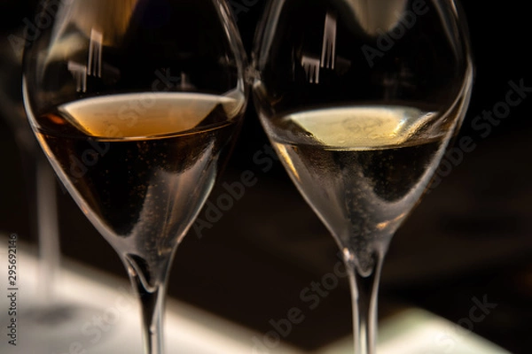 Obraz rose and white