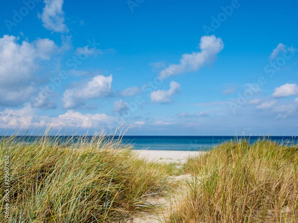 Obraz Strandlandschaft mit Dünen und Gras