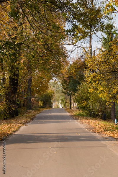 Obraz Road in autumn