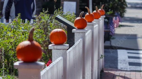 Obraz pumpkins in the market