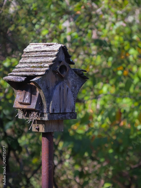 Obraz house in the forest