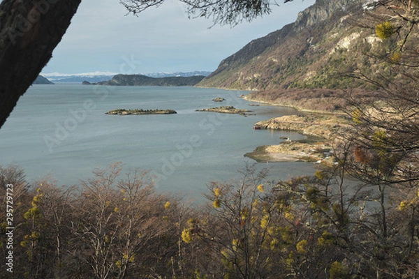 Fototapeta Viewpoint shot of Lapataia Bay in Tierra del Fuego National Park