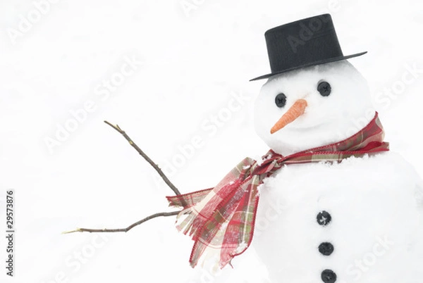 Fototapeta Winter Snowman