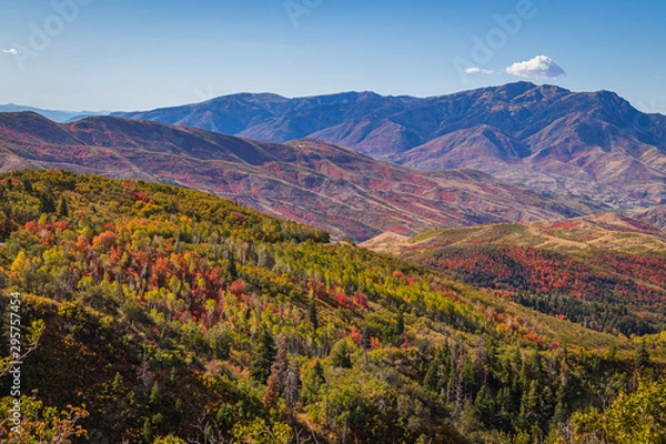 Fototapeta autumn in the mountains